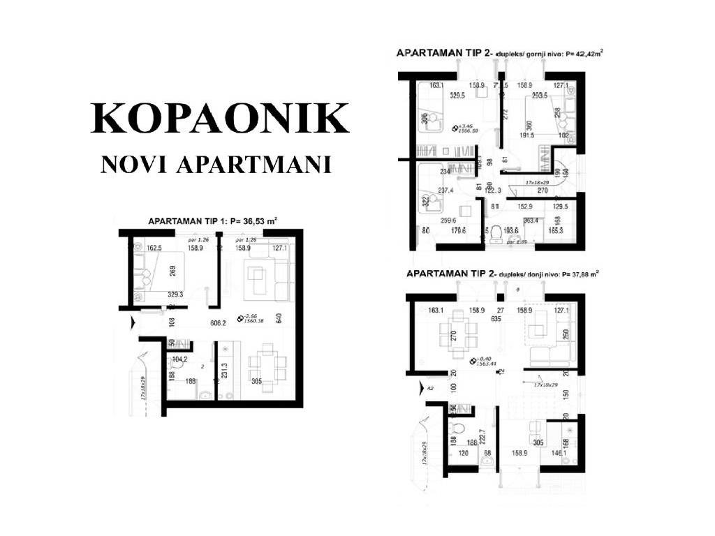Foto 21