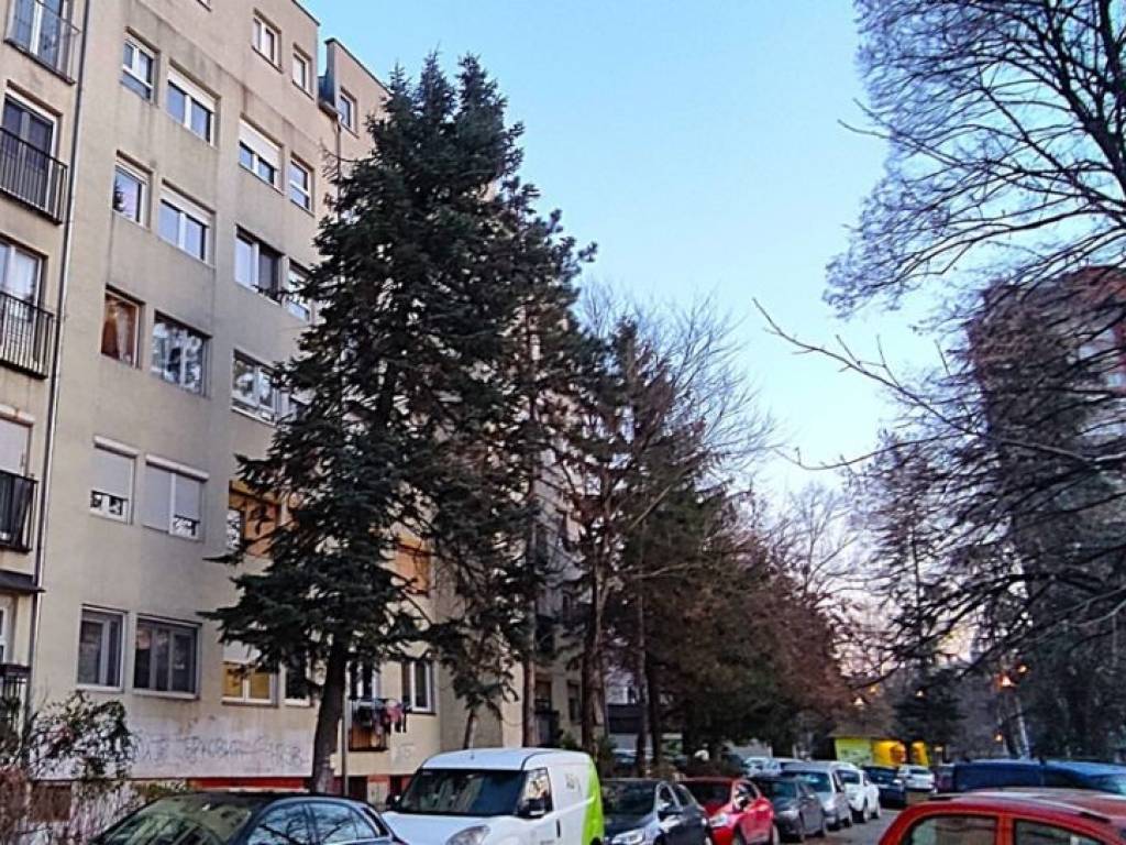 Foto 21
