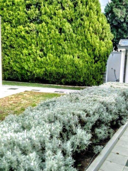 Foto 19