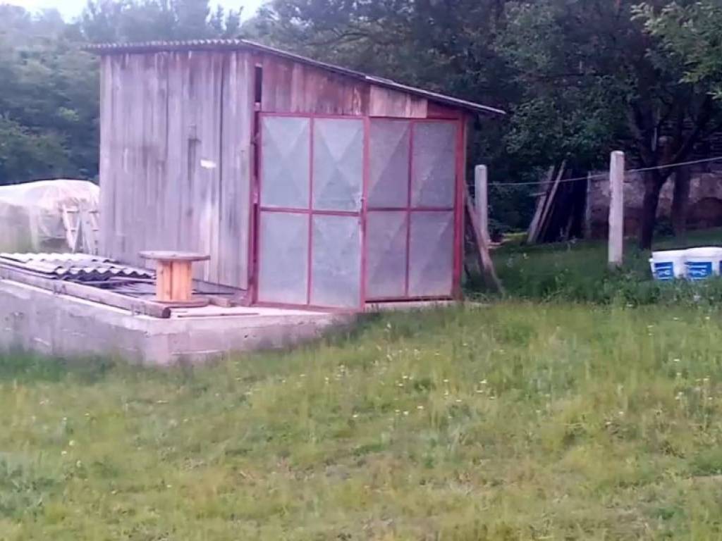 Foto 15