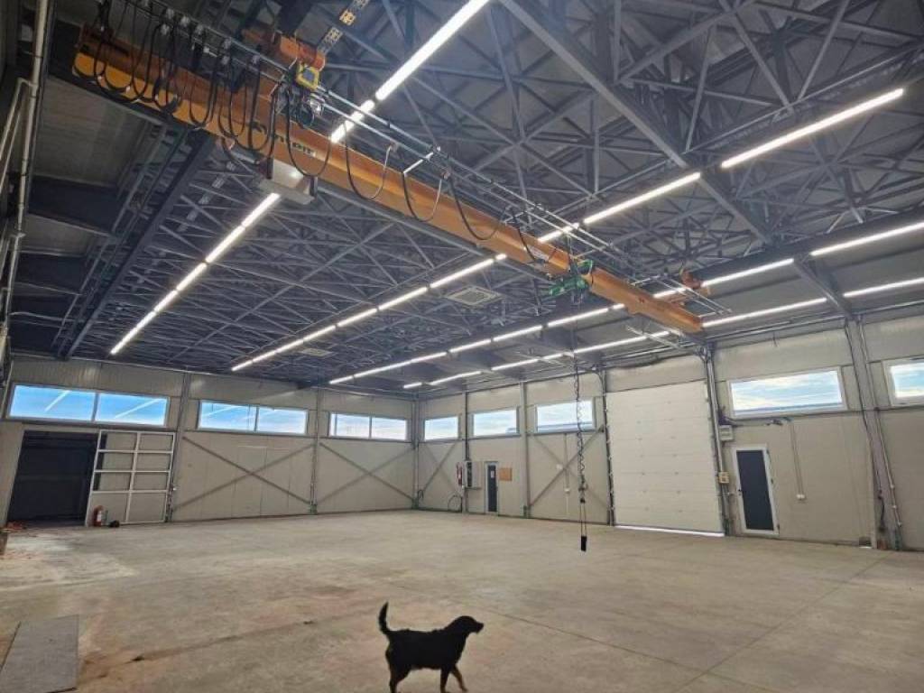 Foto 4