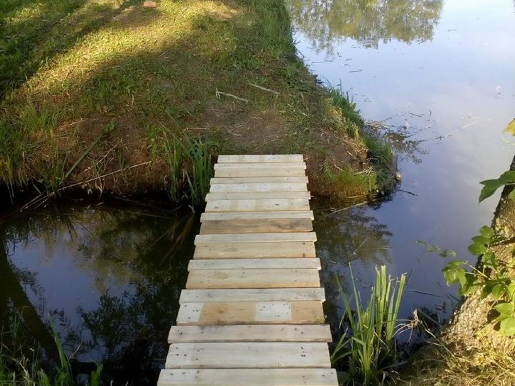Foto 8