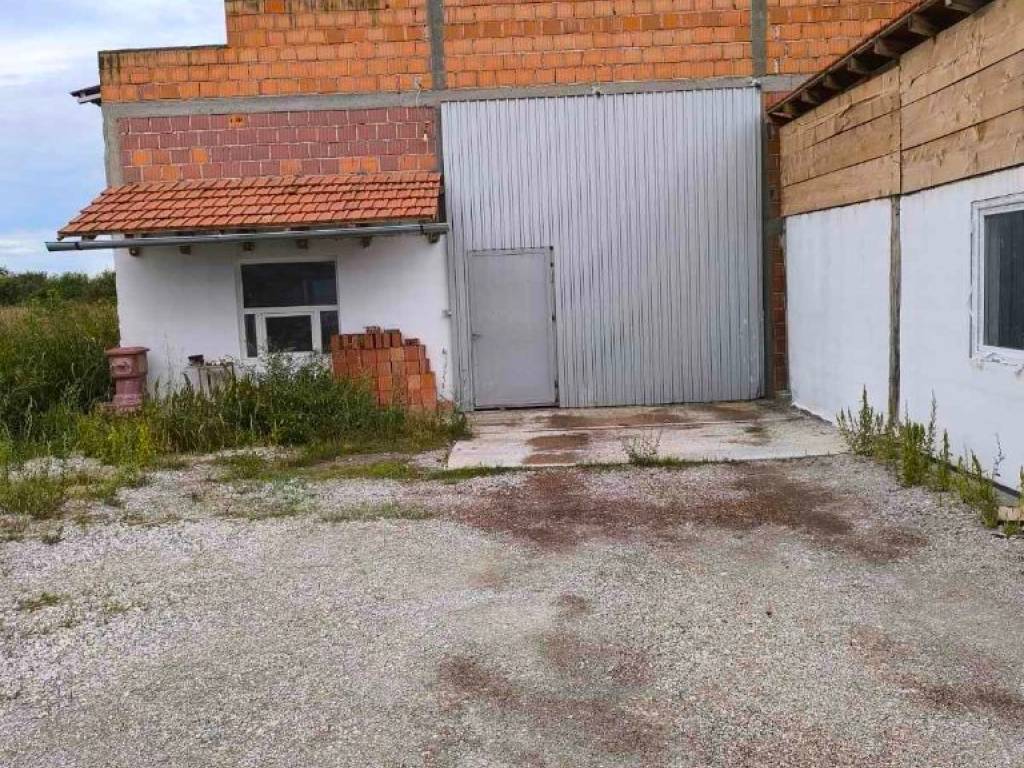 Foto 7