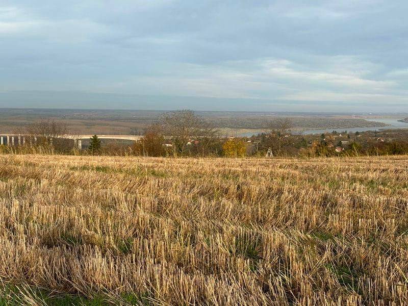 Foto 11