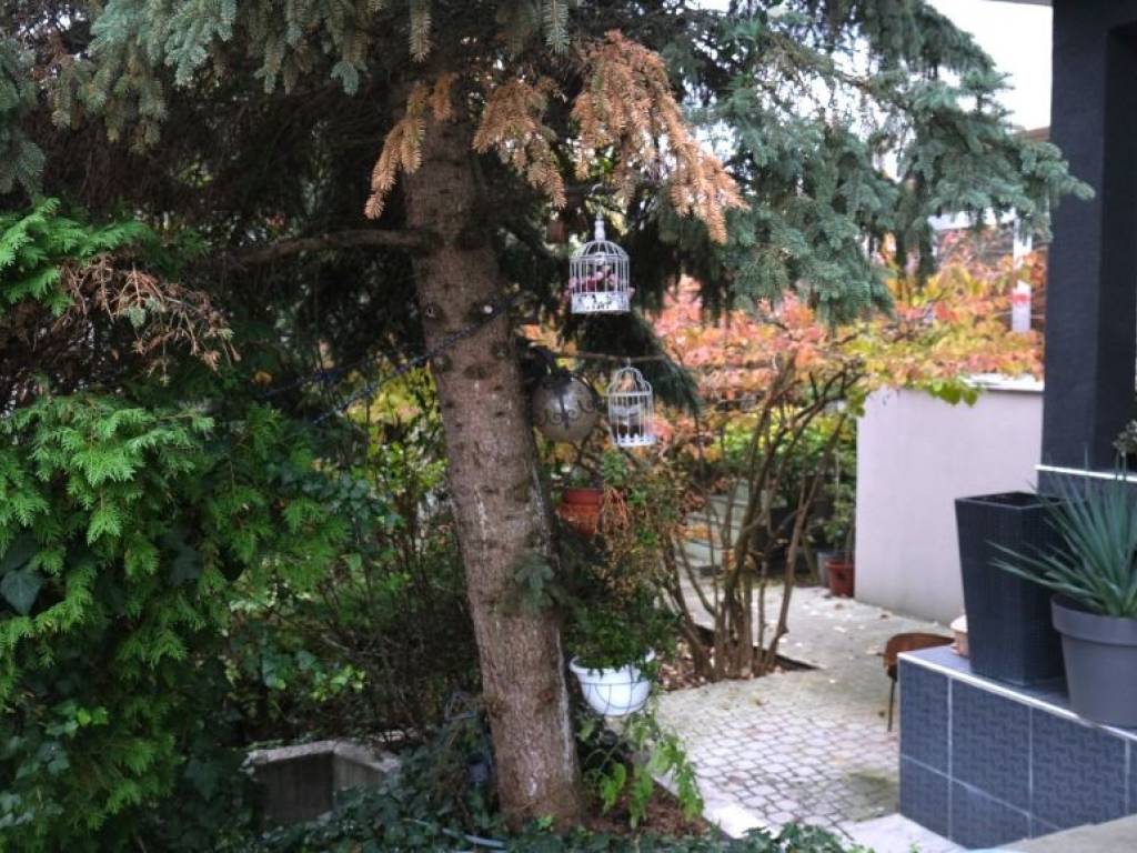 Foto 14