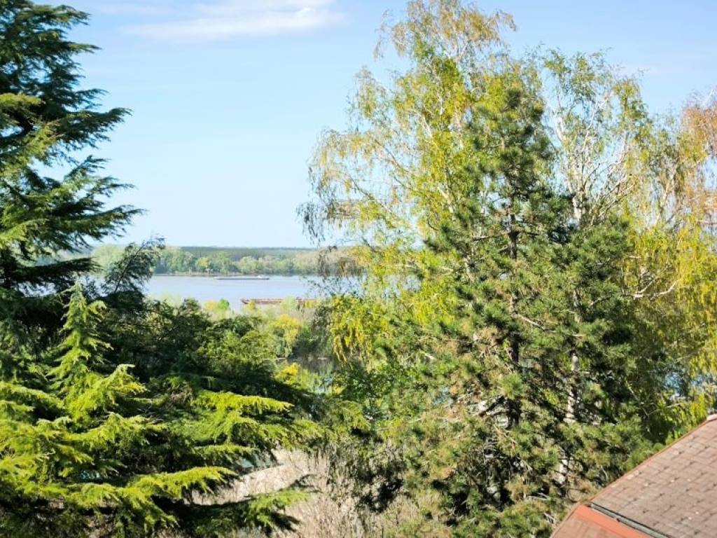 Foto 20