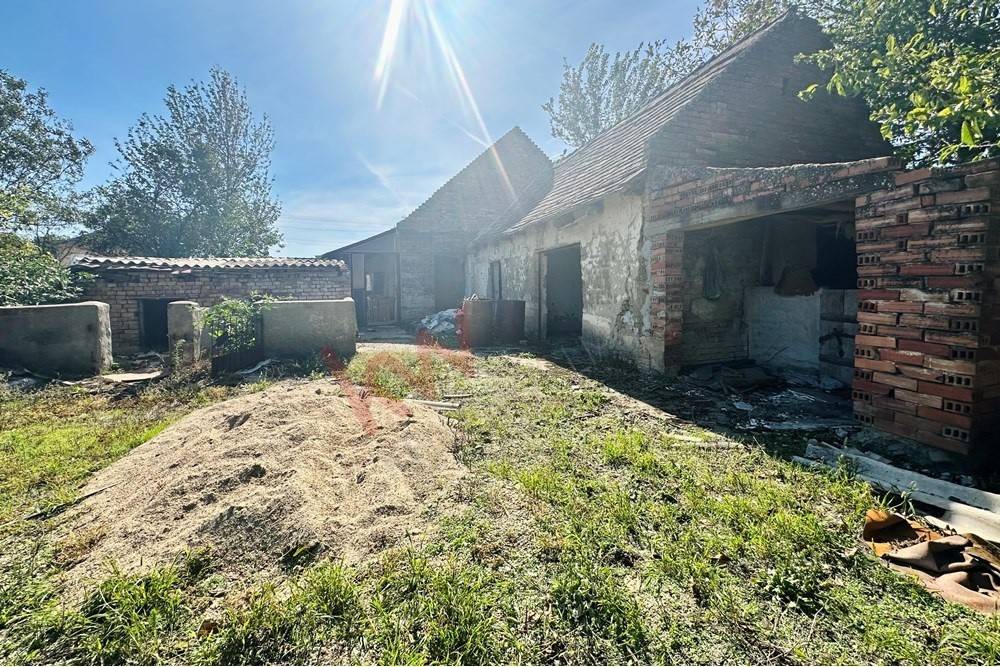 Foto 16