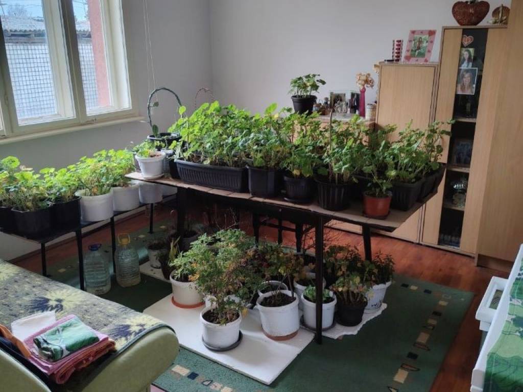 Foto 11