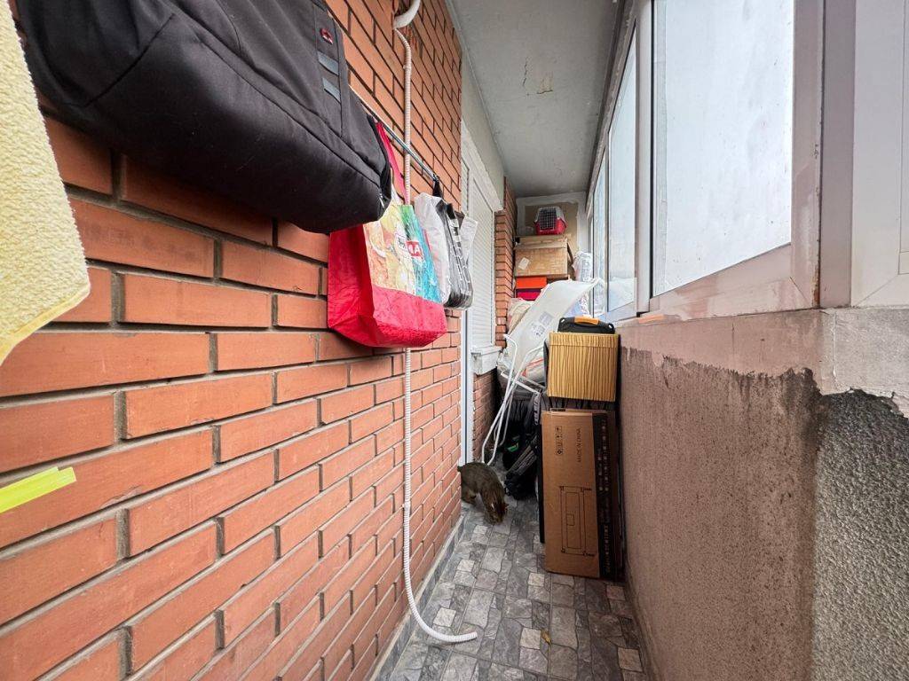 Foto 16