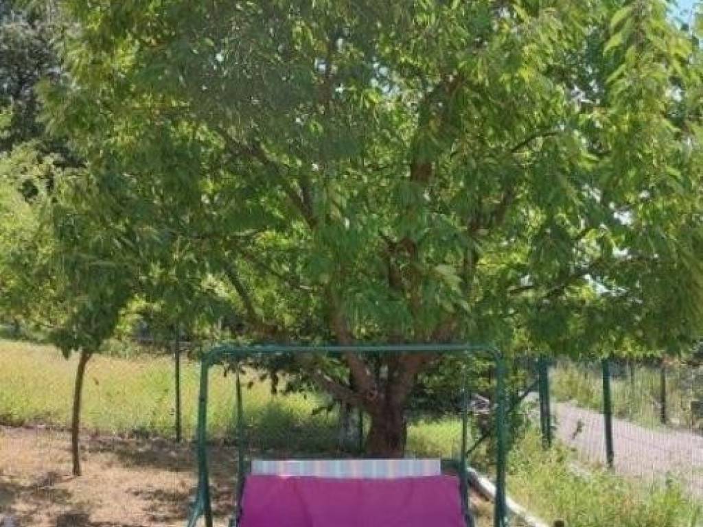 Foto 16