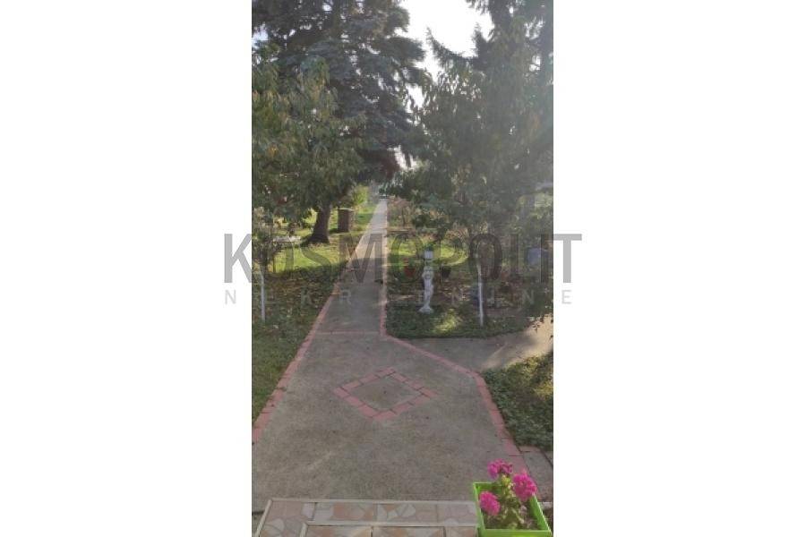 Foto 15