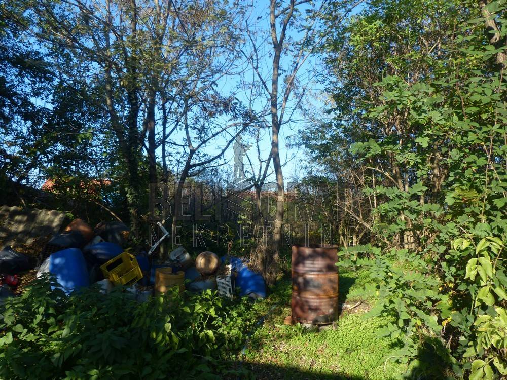 Foto 15