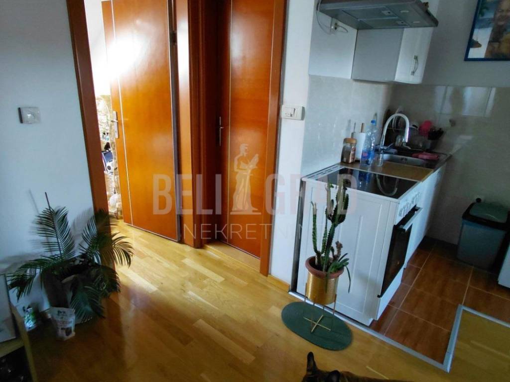 Foto 8