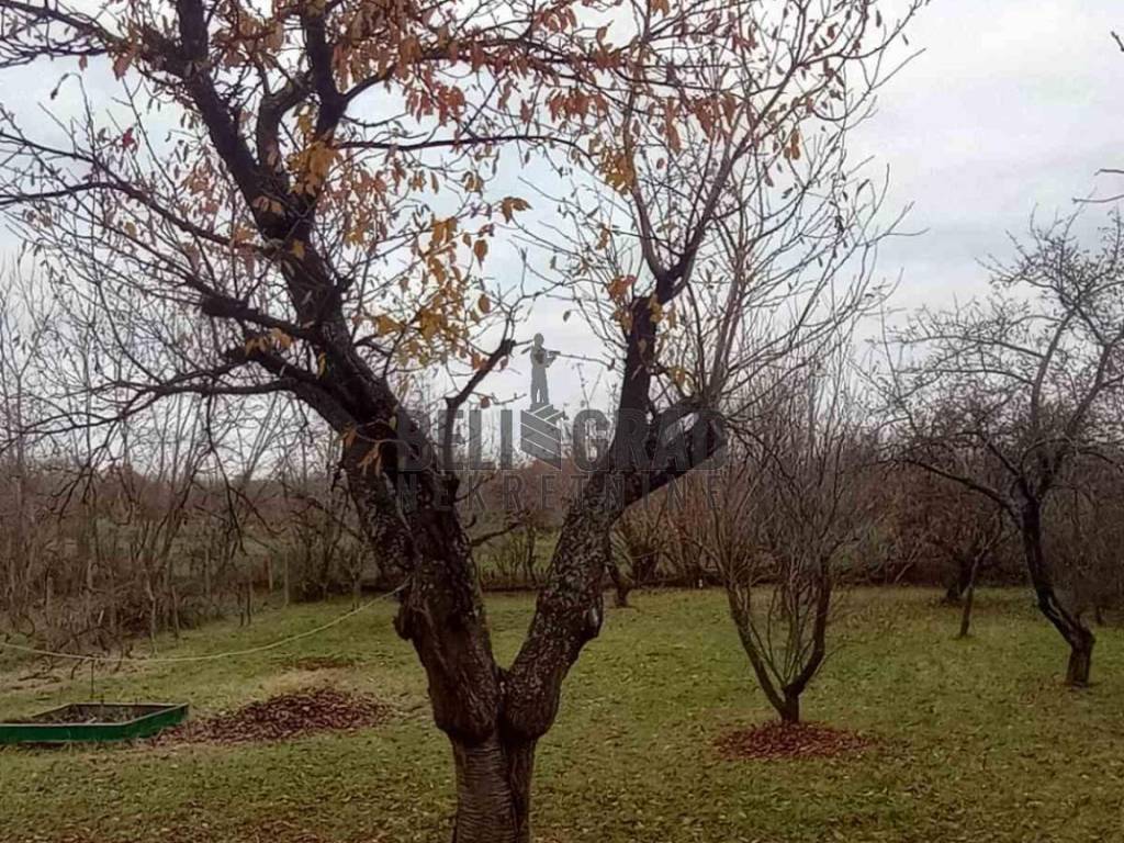 Foto 19