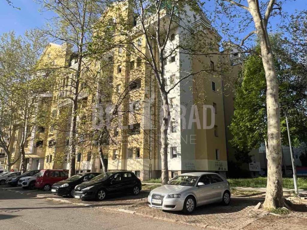 Foto 13