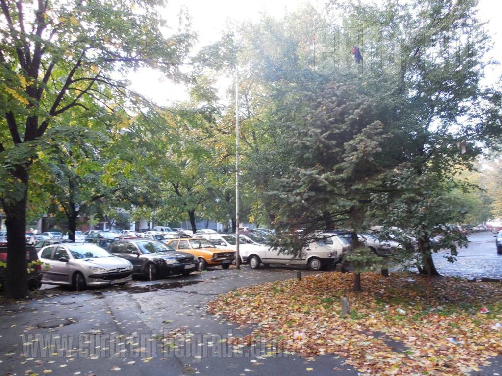 Foto 9