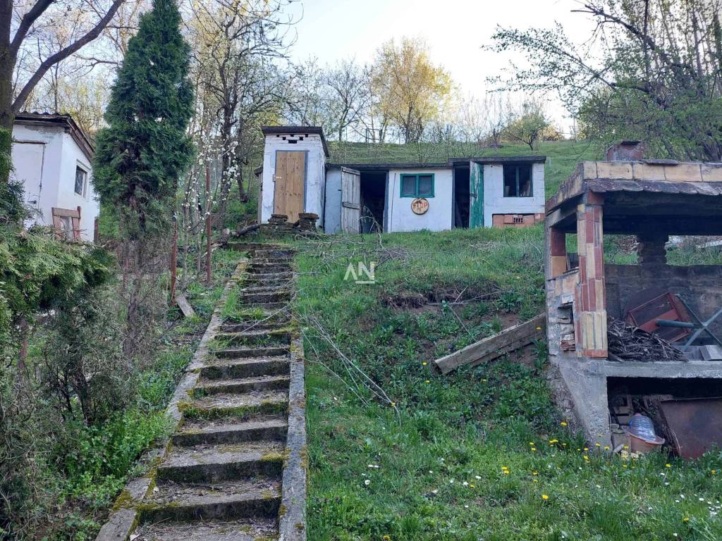 Foto 11