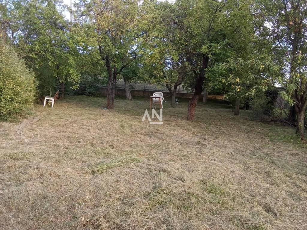 Foto 20