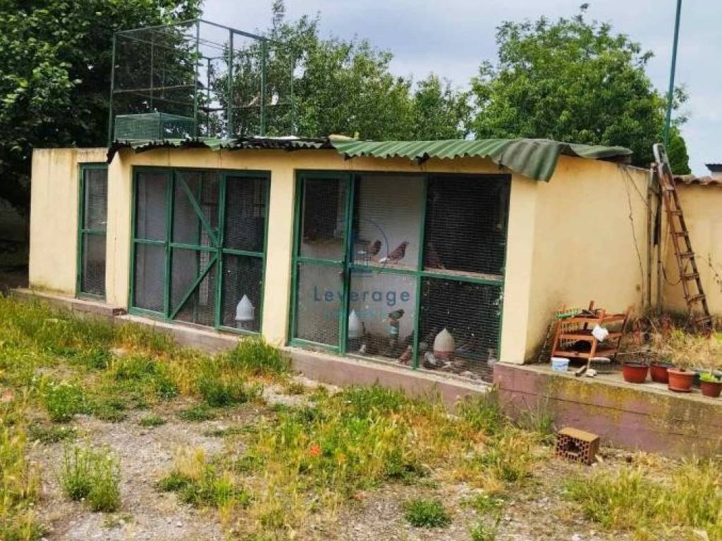 Foto 19