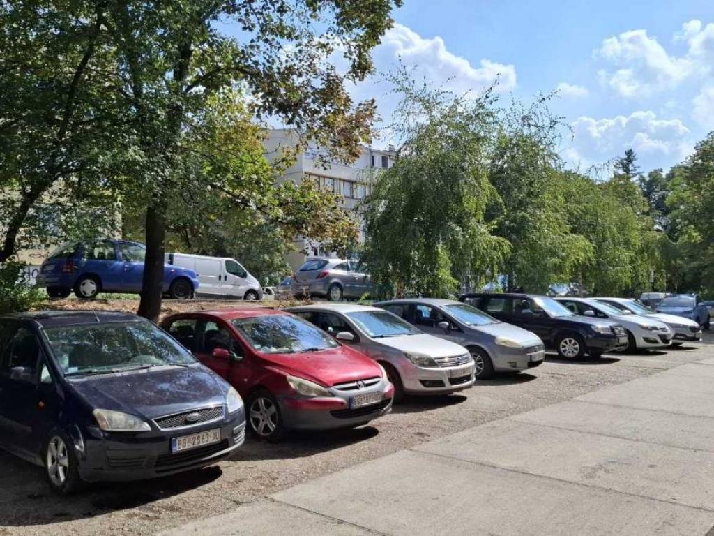 Foto 19