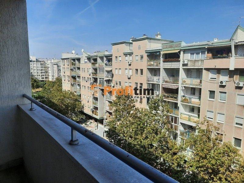 Foto 19