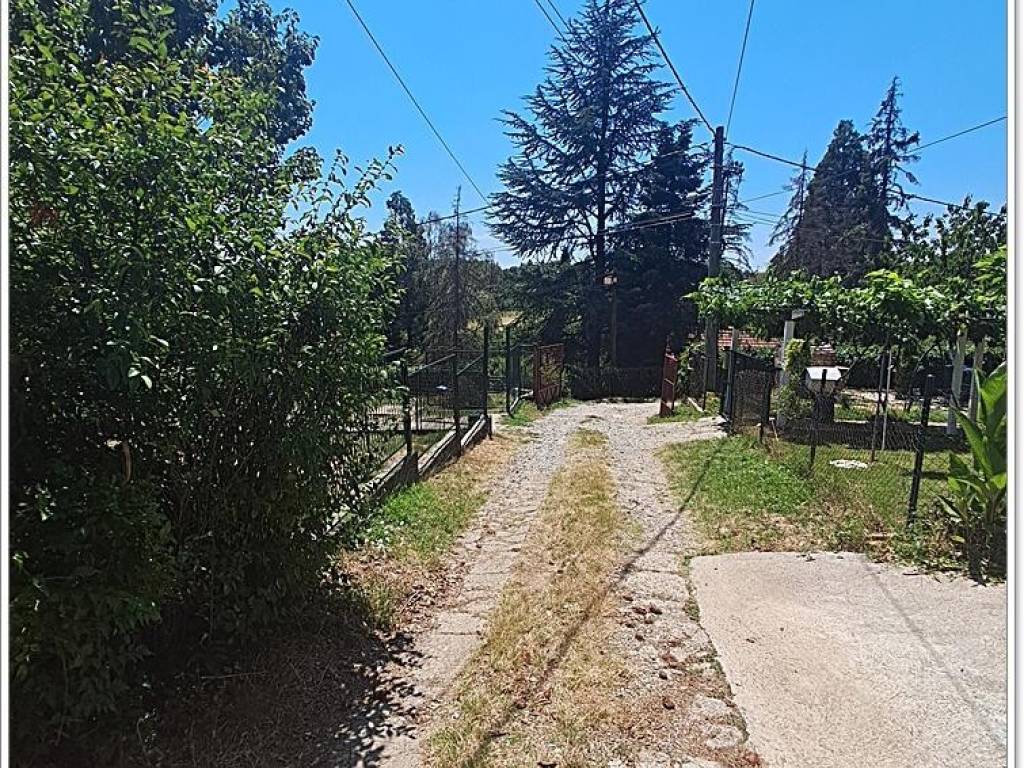 Foto 14