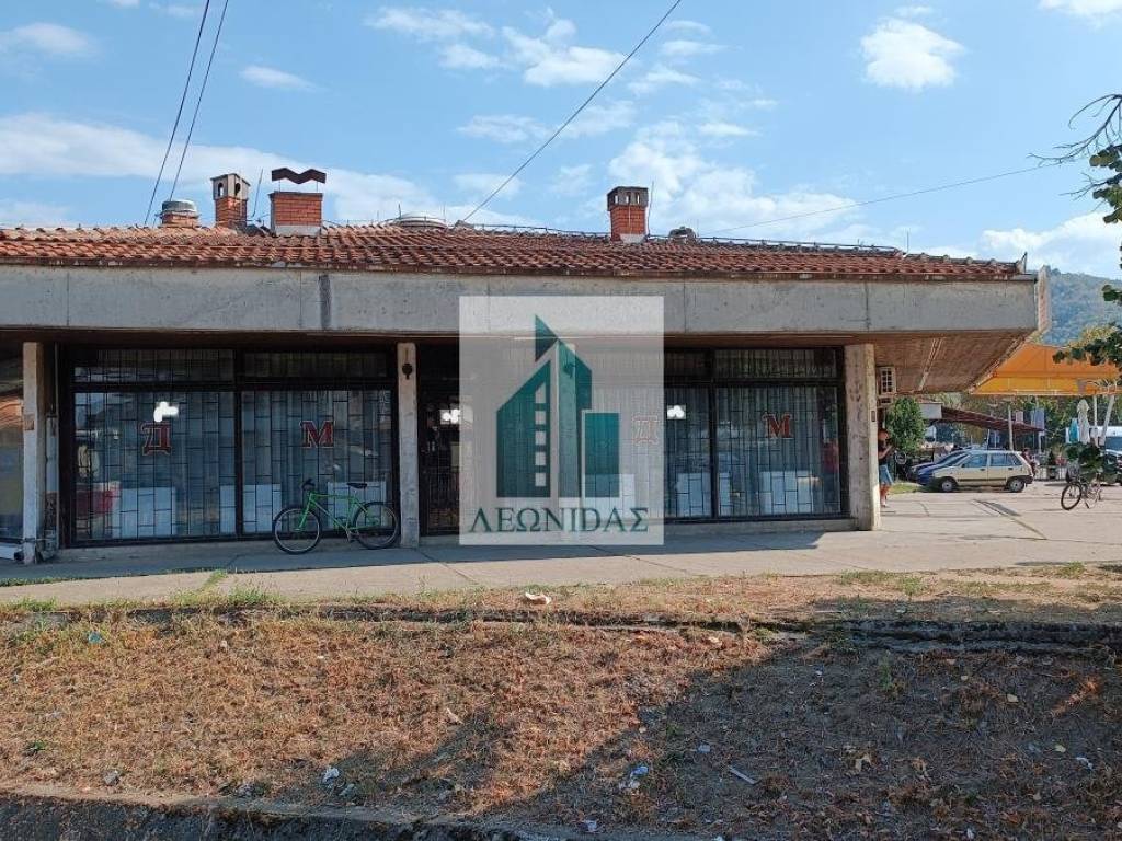Foto 19