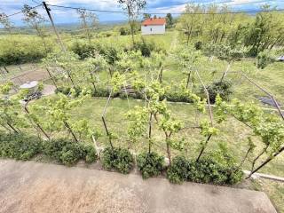 Foto 20