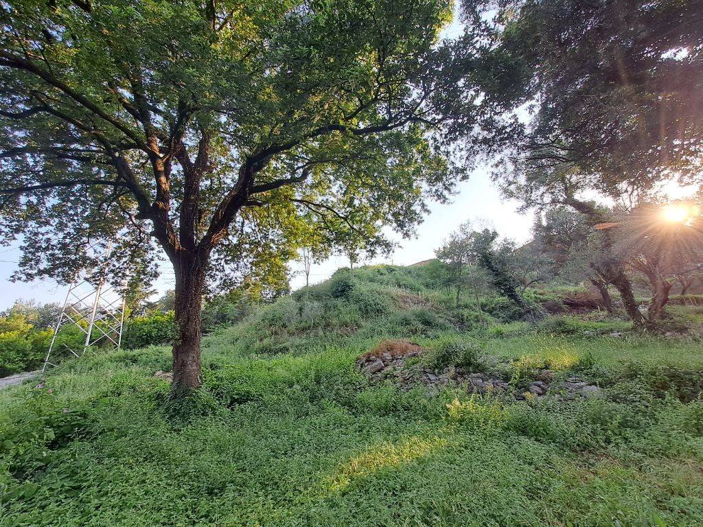 Foto 15