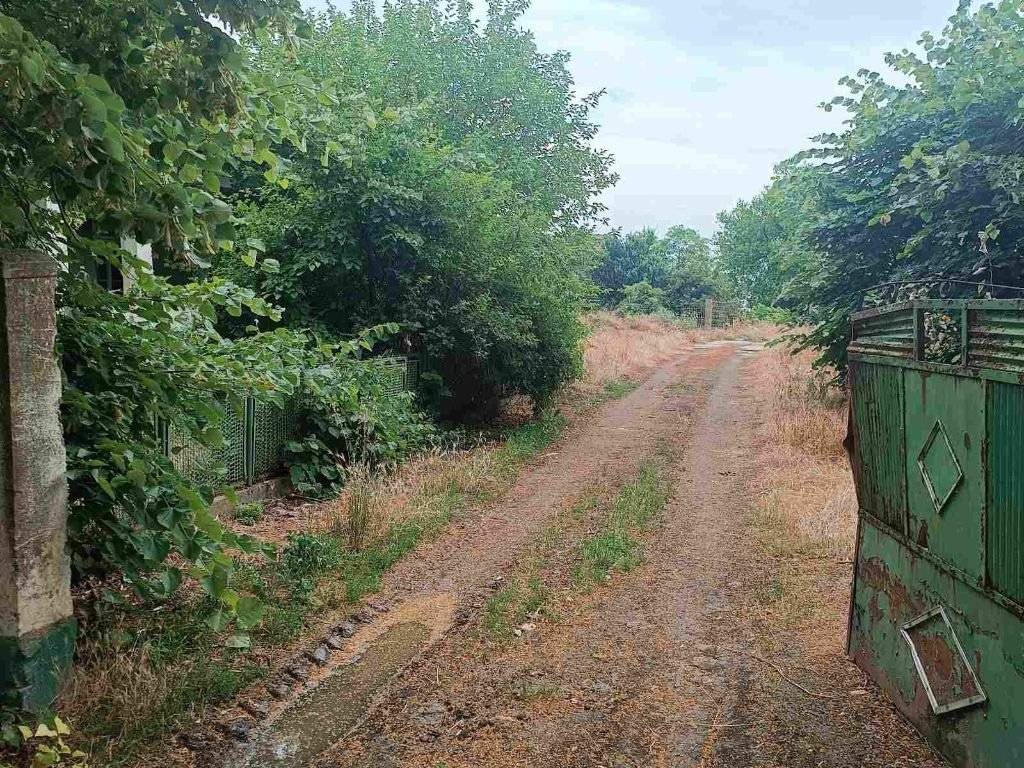 Foto 11