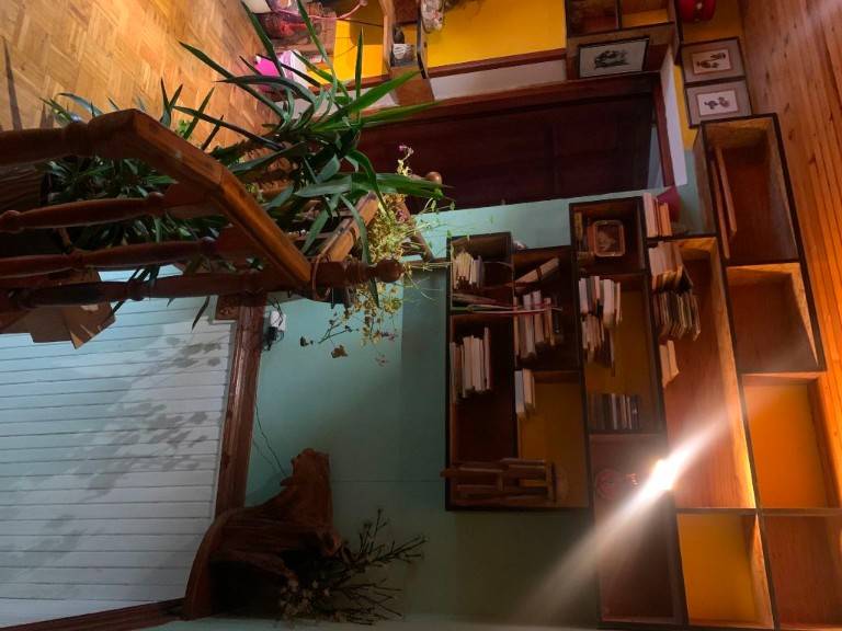 Foto 5