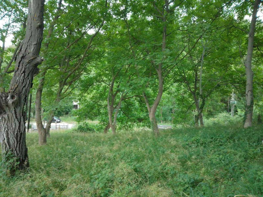 Foto 13