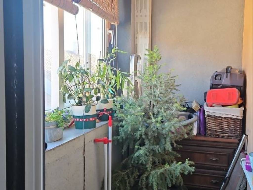 Foto 17