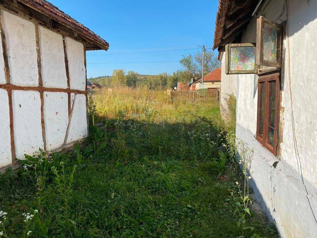 Foto 7