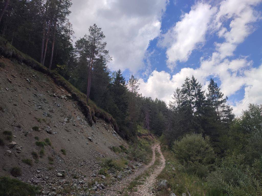 Foto 14