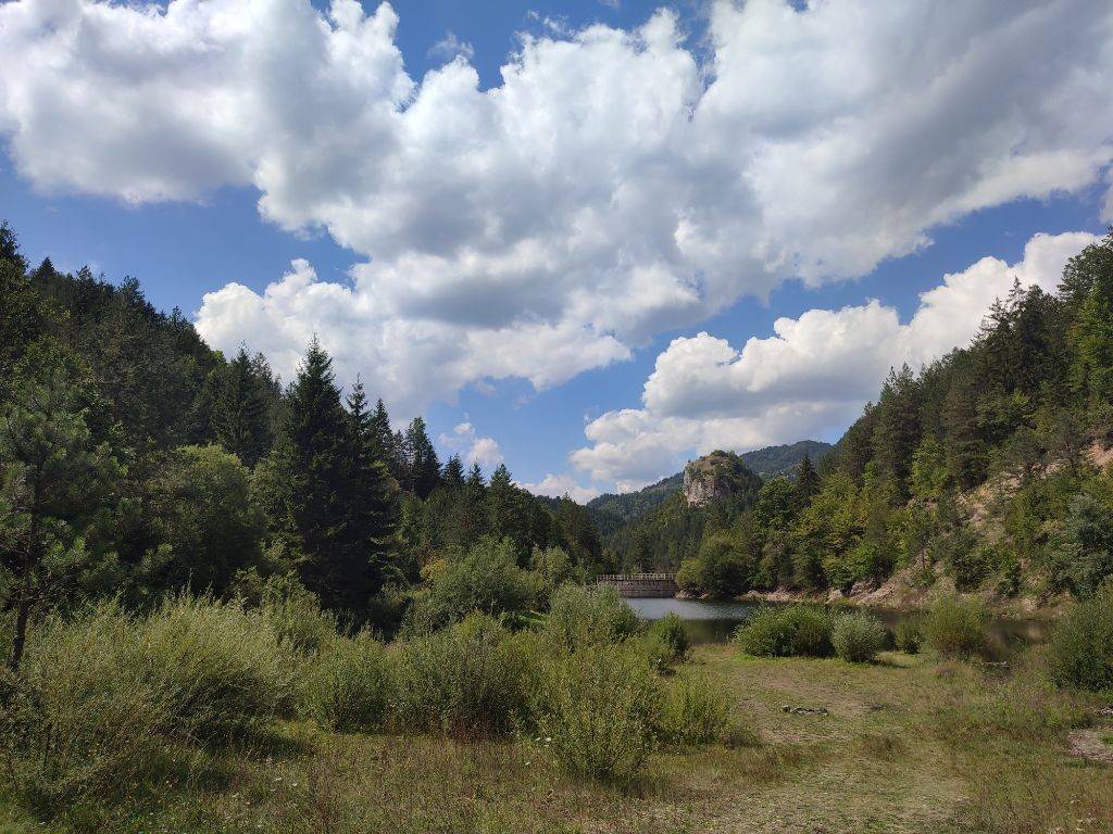 Foto 6