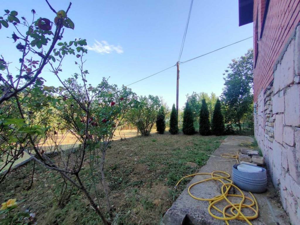 Foto 13