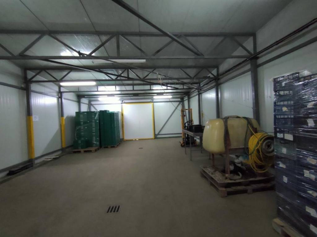 Foto 12
