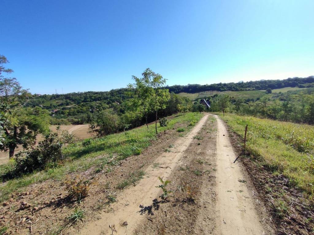 Foto 15