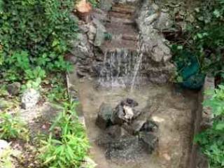 Foto 19
