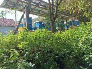 Foto 7