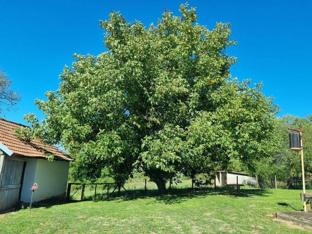 Foto 15