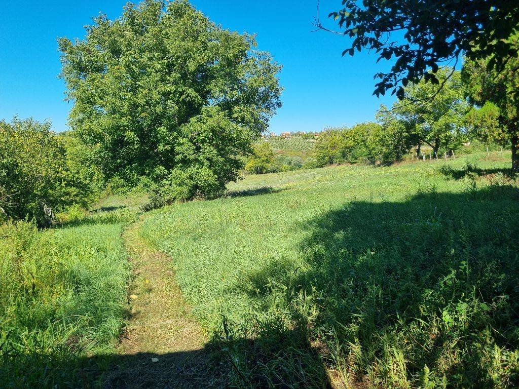 Foto 16
