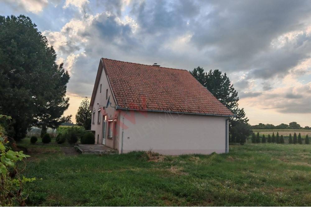 Foto 20