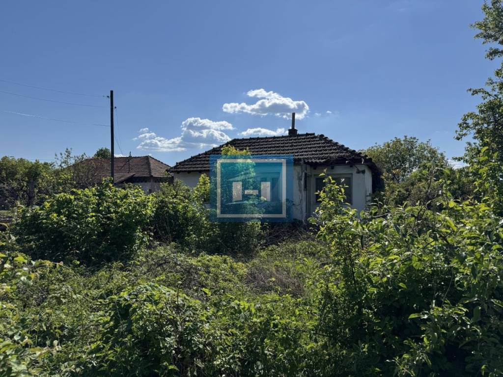 Foto 7