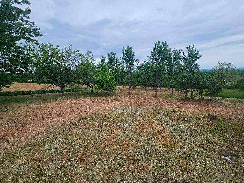 Foto 16