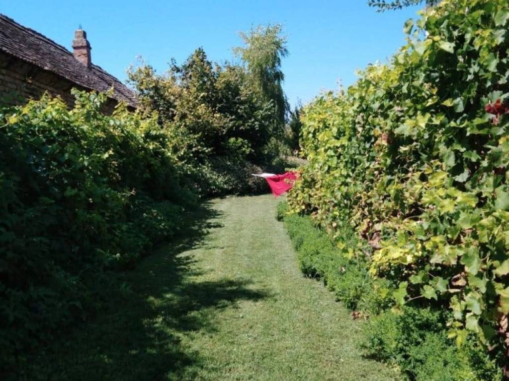 Foto 15