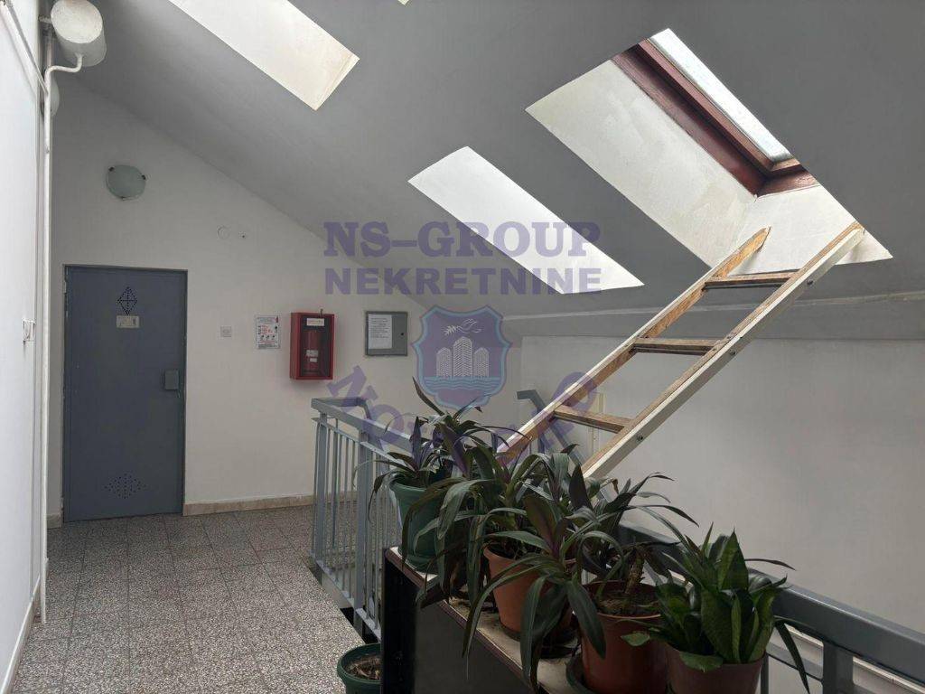 Foto 7