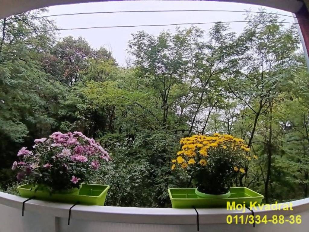 Foto 16