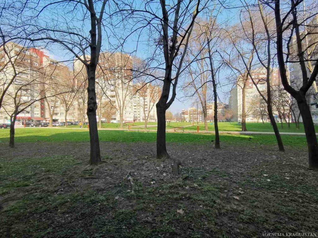 Foto 15